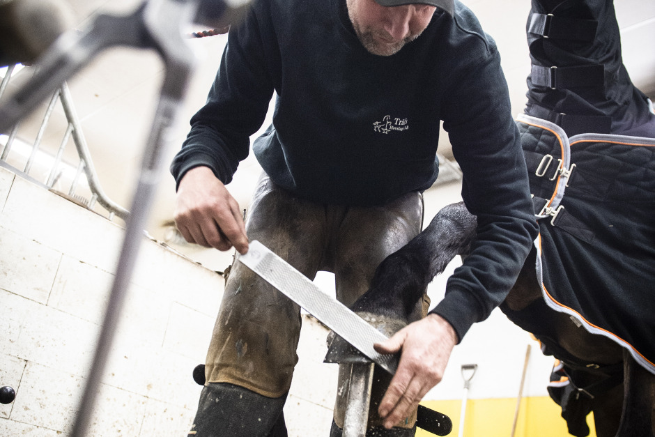 Catharina Hansson: ”Beska sanningar behövs ibland”