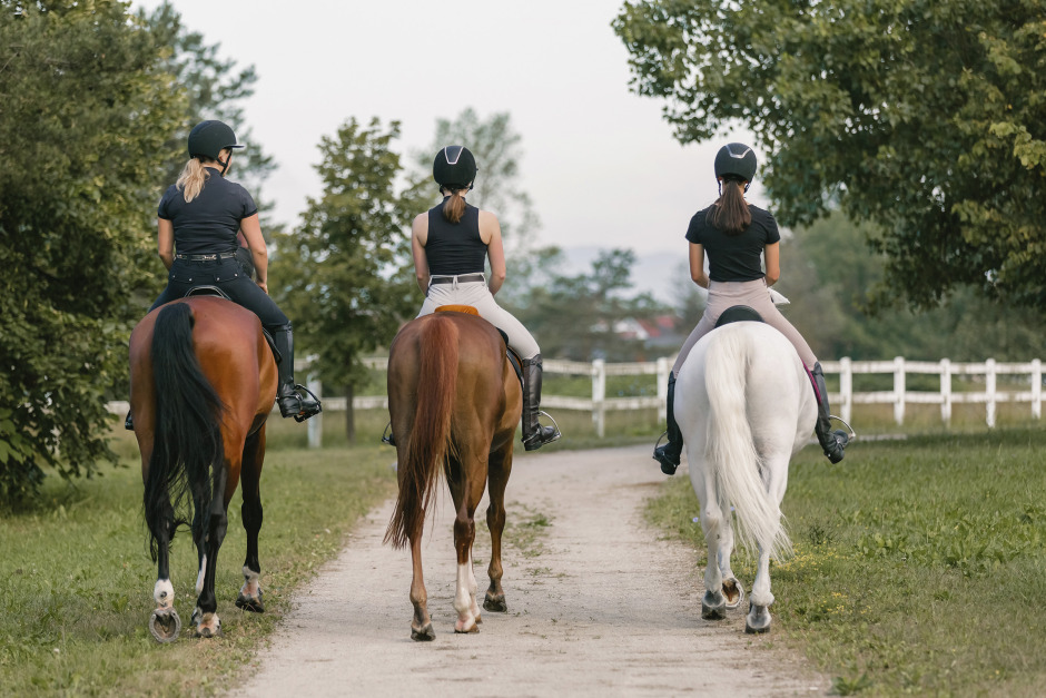 Hästriksdagen: SvRF vill se ett mer jämställt stöd till idrotten
