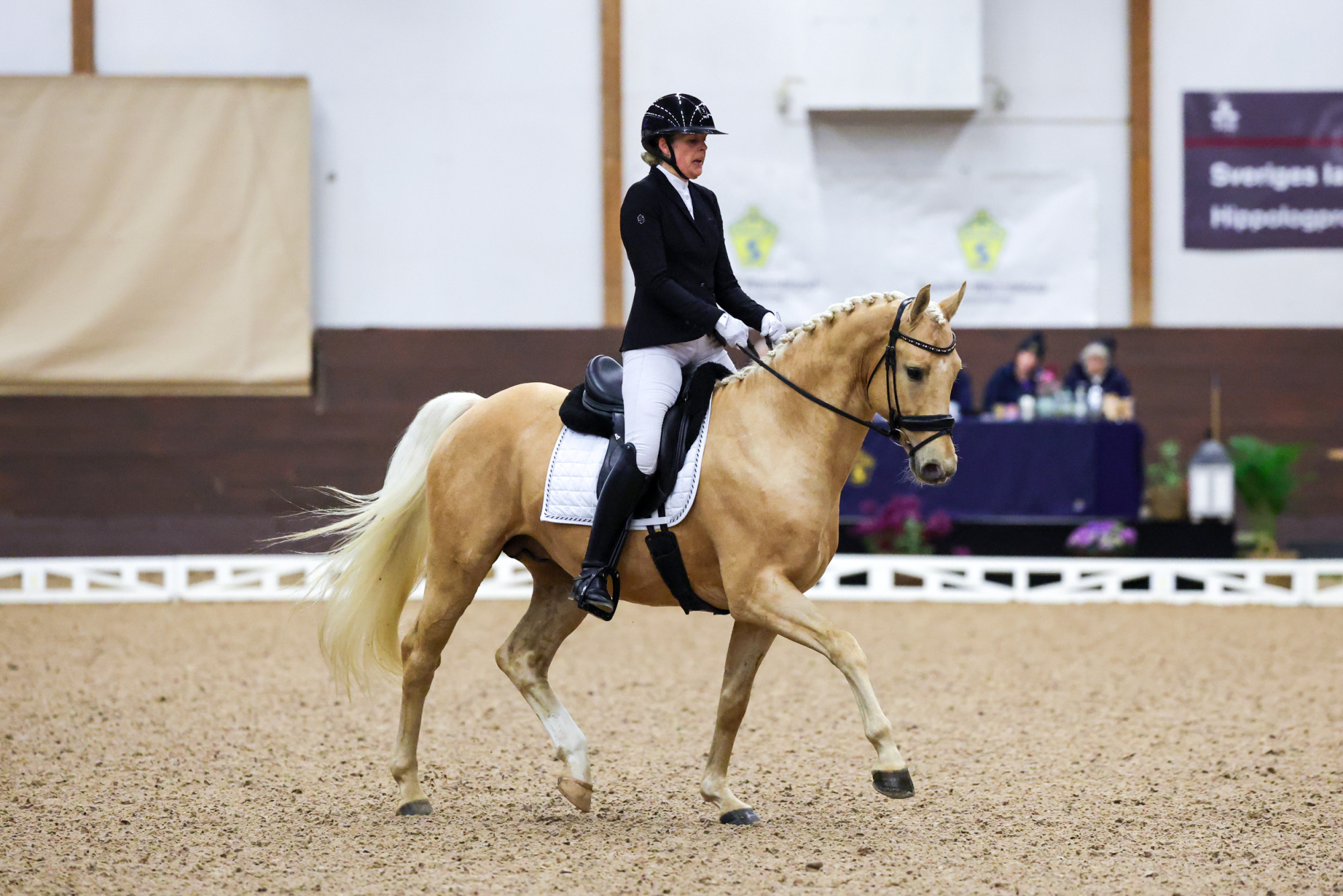 Kenthaur Jc Sandra Dahlin-8742