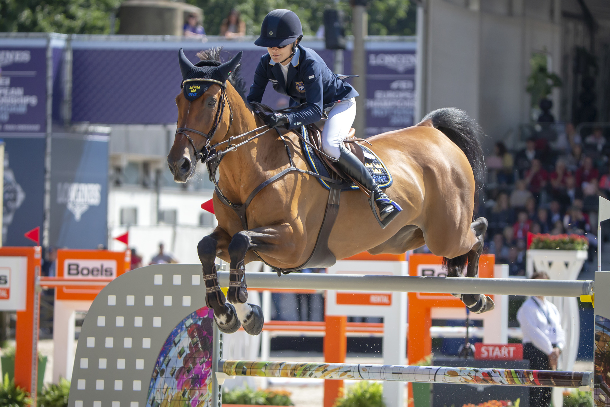 Equestrian Sport