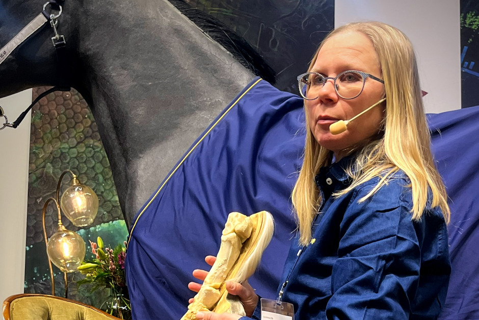 Veterinärens bästa tips för daglig visitering av häst