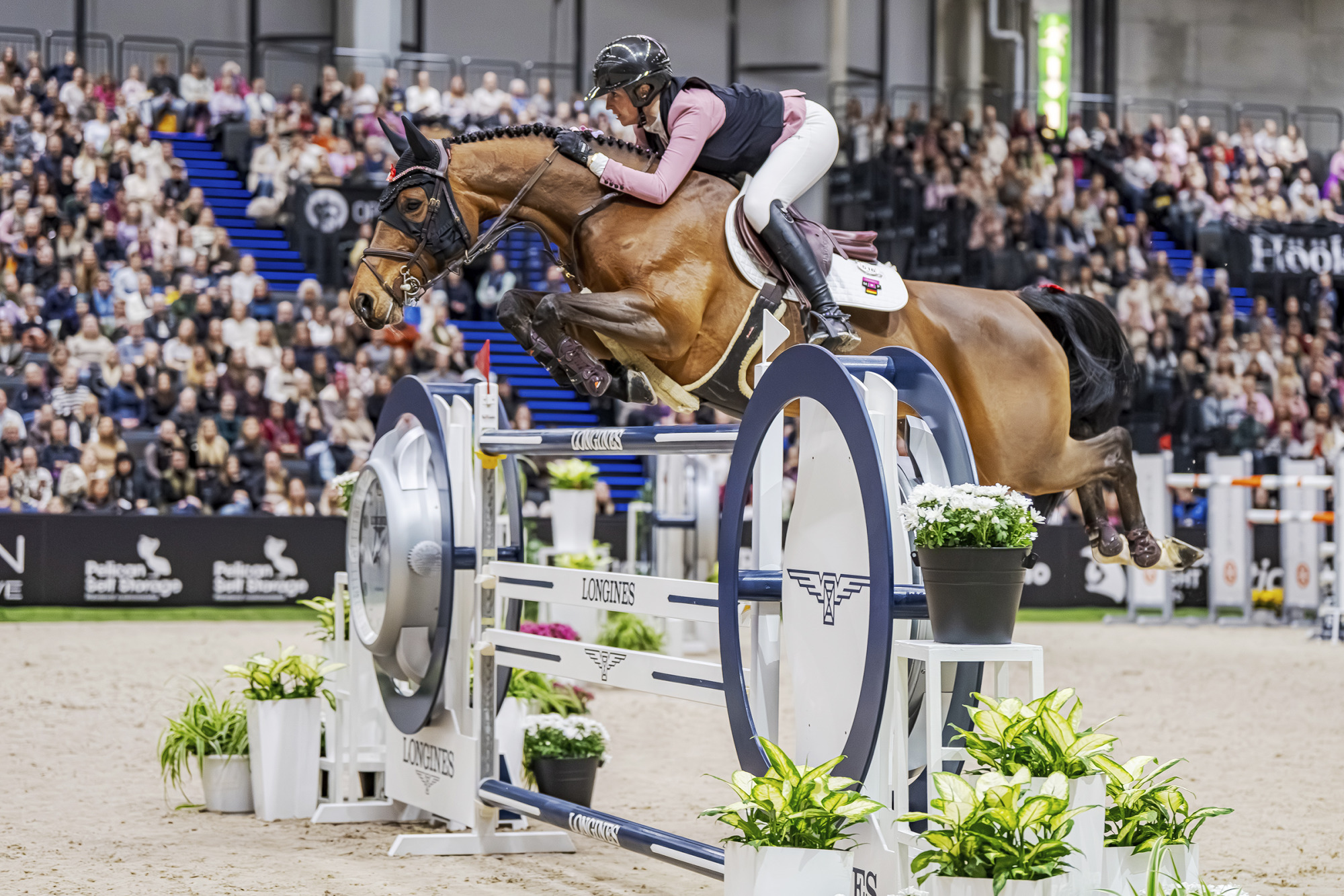 Paula De Boer-schwarz (ger) My Miss Marpel Old