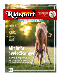 Ridsport nr 4/2026 – Avelsextra