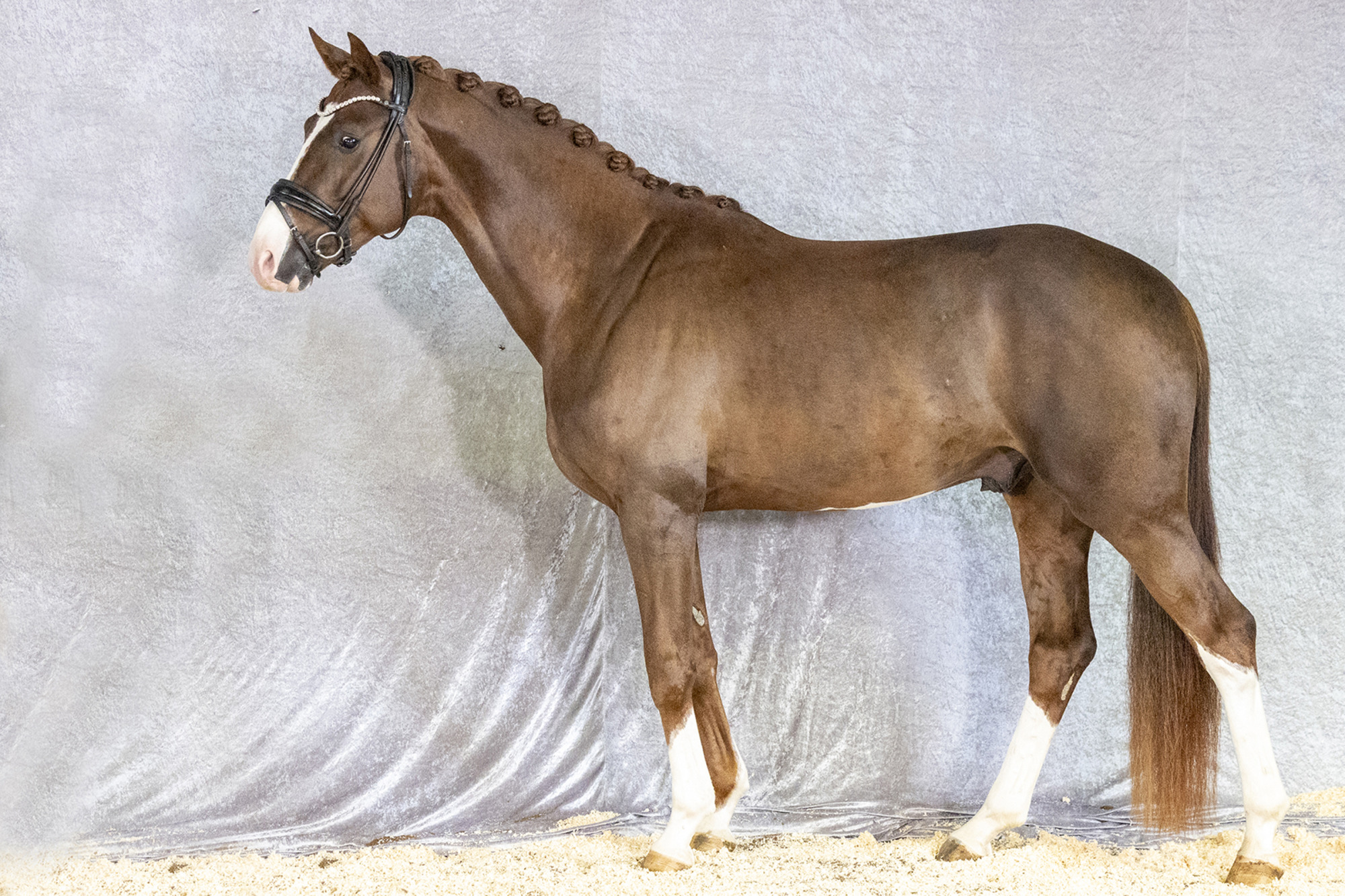 Scotland Yard Ssl 1 260316 Rt