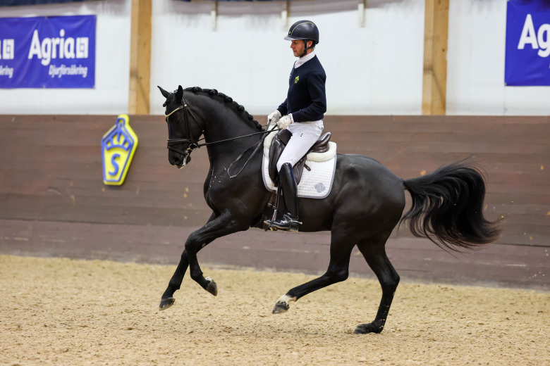 De är årets bruksprovsvinnare