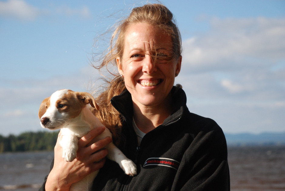 Hunden – hästmänniskans bästa vän