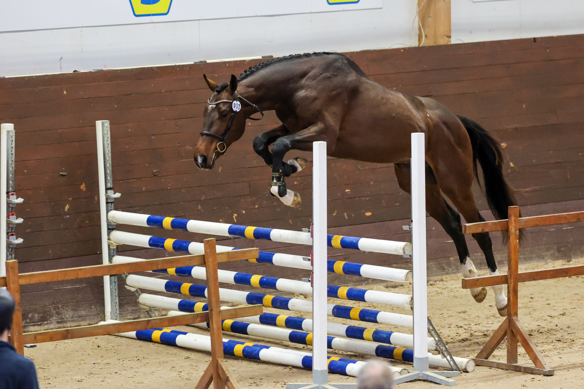 Victoria's Ohana Xx-6579