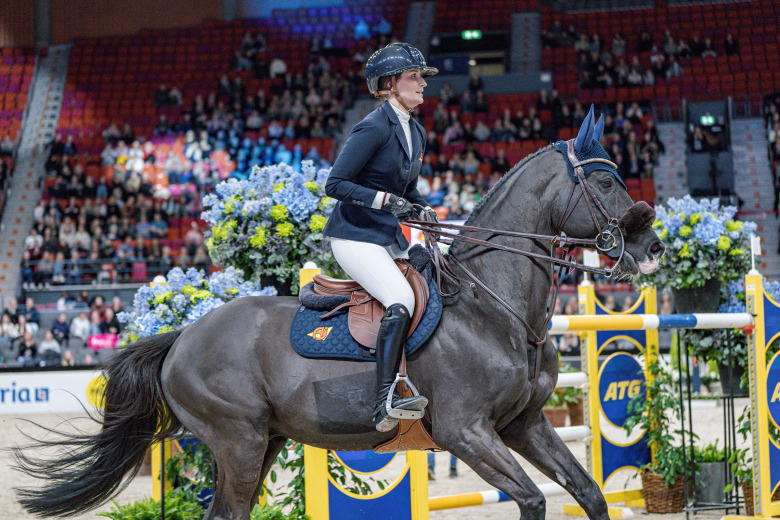 Hingsten som ”inte bara är snygg” återvänder till Sverige