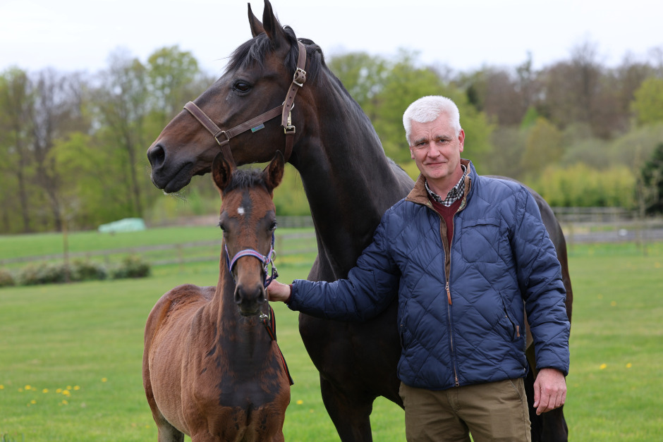 Ny ordförande i Dansk varmblod