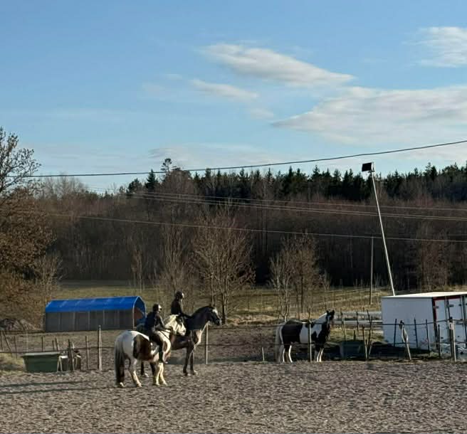 2b143067-f15b-46fd-8d3b-d3457844dba3 (1)