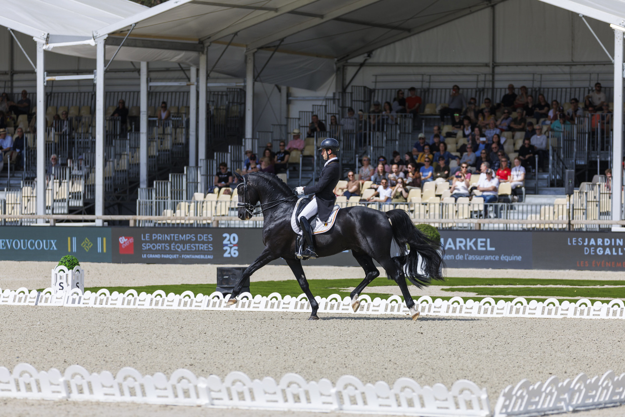 Justin Verboomen och Zonik Plus