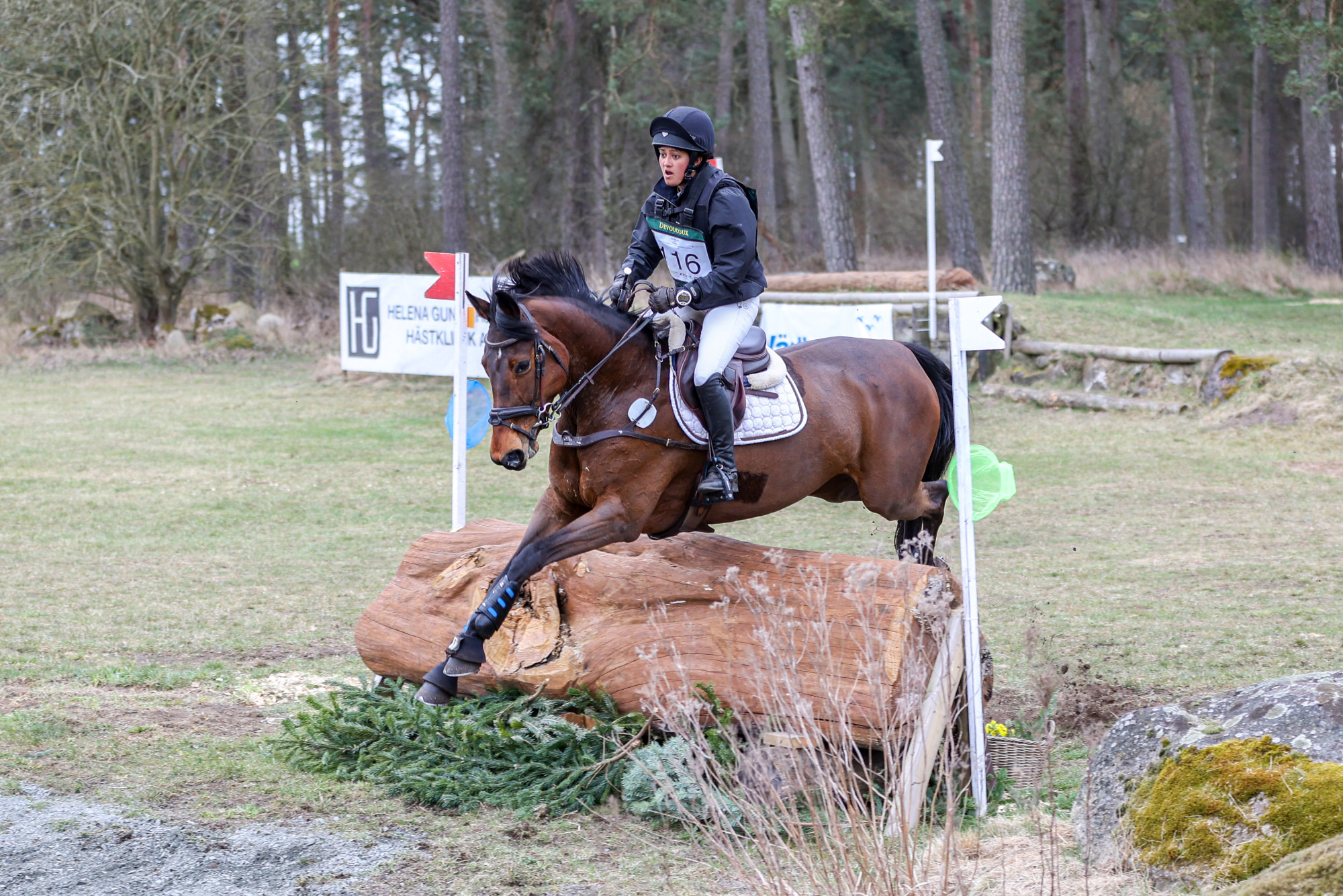 Aria Ramkali - Flanders Fj-2267