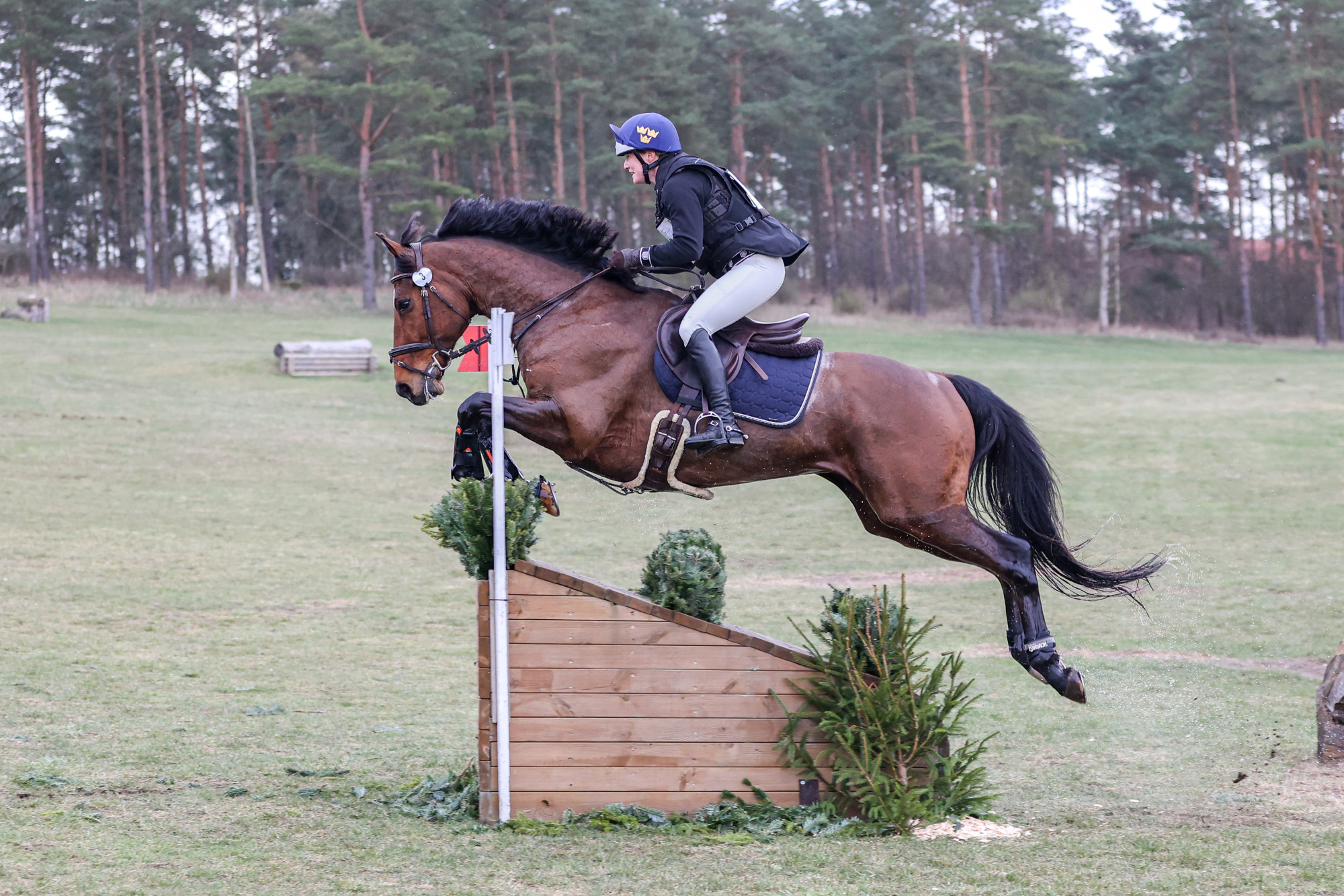 Åsa Alsterlund - Cash In Hugo Fj-5289