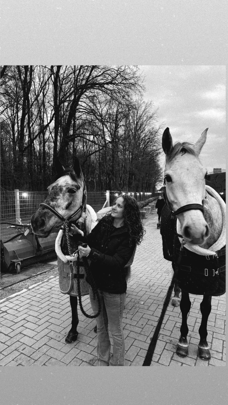 Noomis blogg: Uppdatering från Belgien