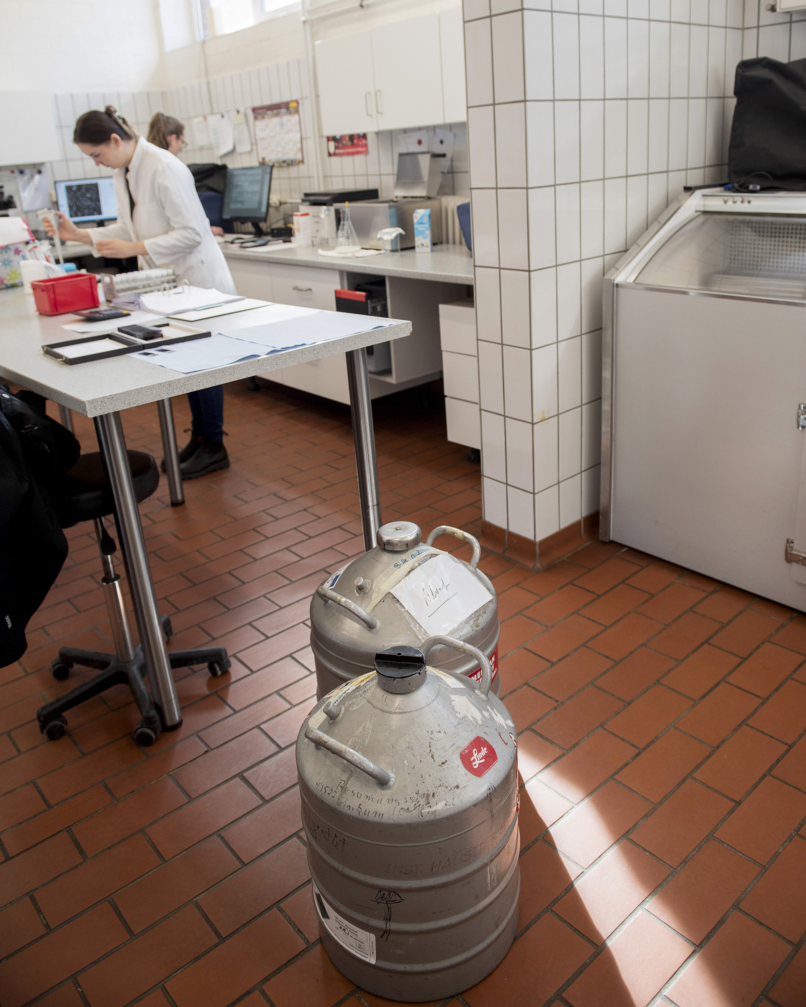 Reportage Om Celle Statsstuteri Tyskland
Foto: Natalie Lindholm
P: 2026-04-ax
