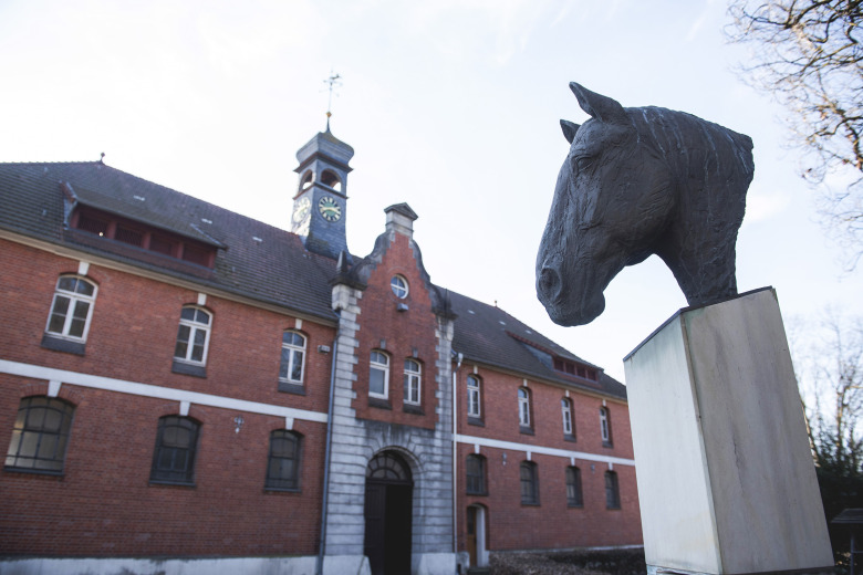 Celle – 290-åring mitt i en avelsrevolution