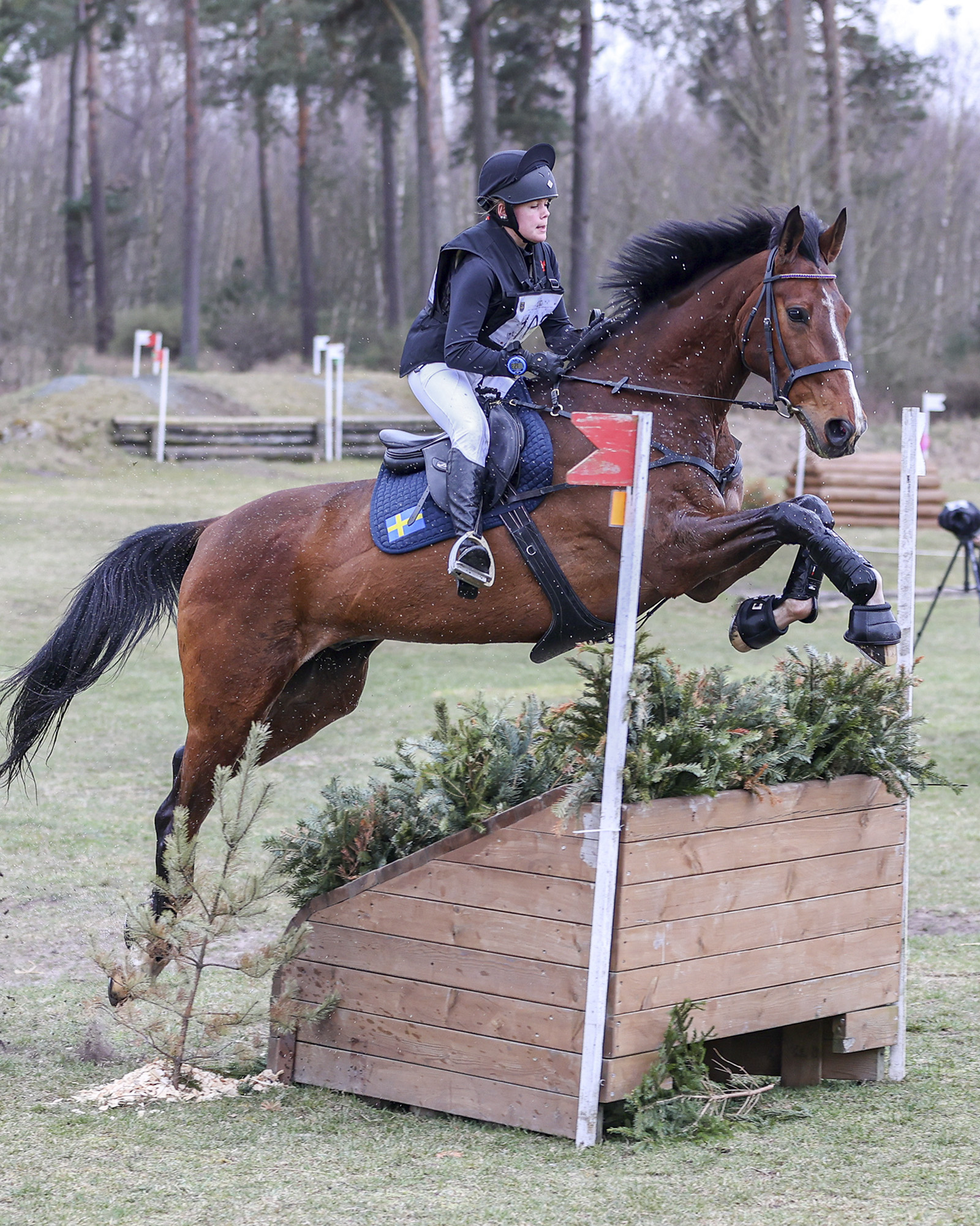 Elly Ivgren - Duvibis Mister Fj-1379