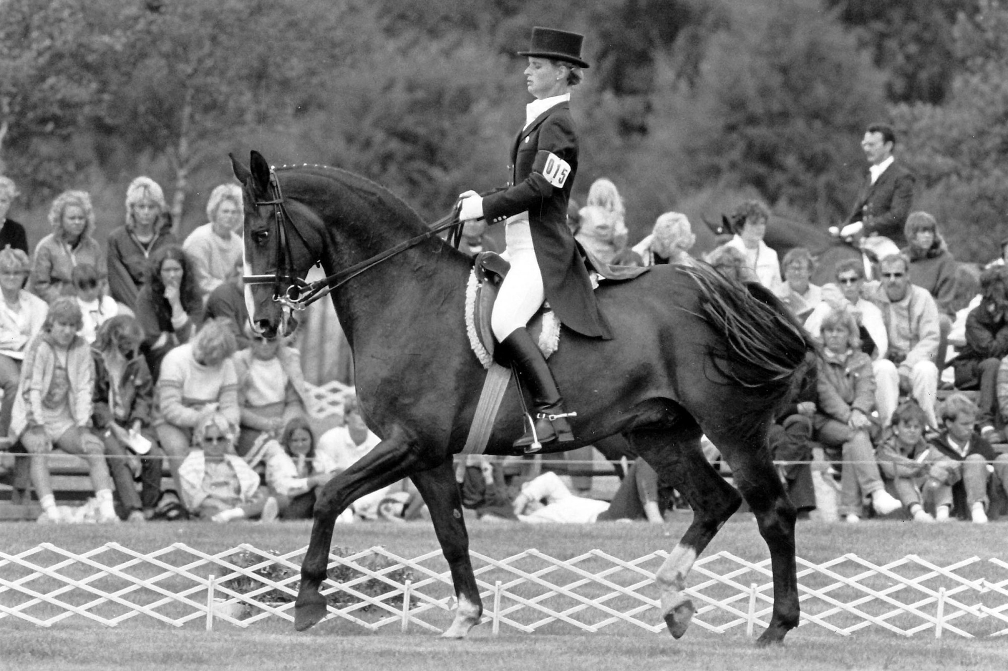 Eva-karin Oscarsson Munck
Cast&aacute;r
Falsterbo Troligen 1985
Foto Krister Lindh
