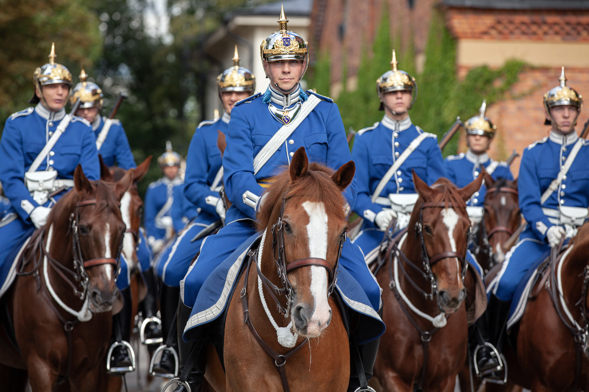 Beridna H&ouml;gvakten