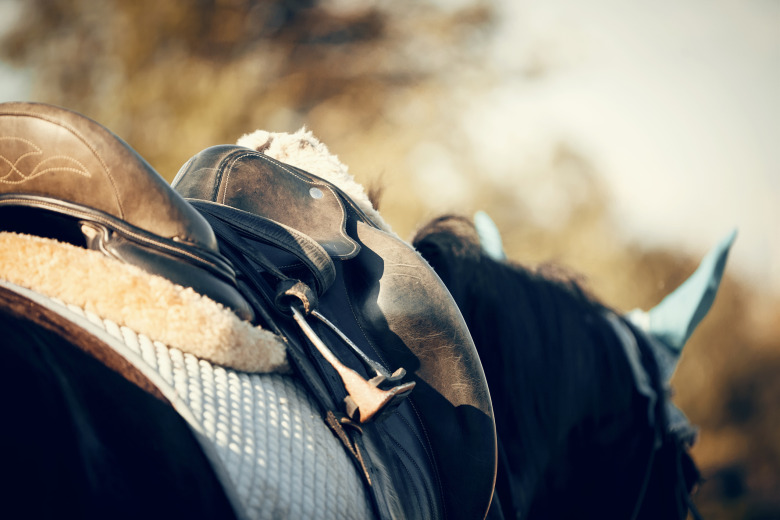 Ännu ett friande från förtal i fall med hård ridning