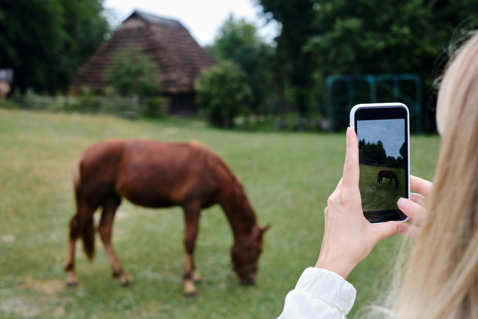 Gjorde foderstat i ChatGPT: ”Använd med sunt förnuft”