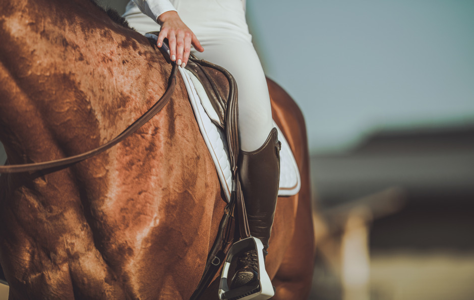 Gymnasieskolor inför AI-stöd i ridundervisningen