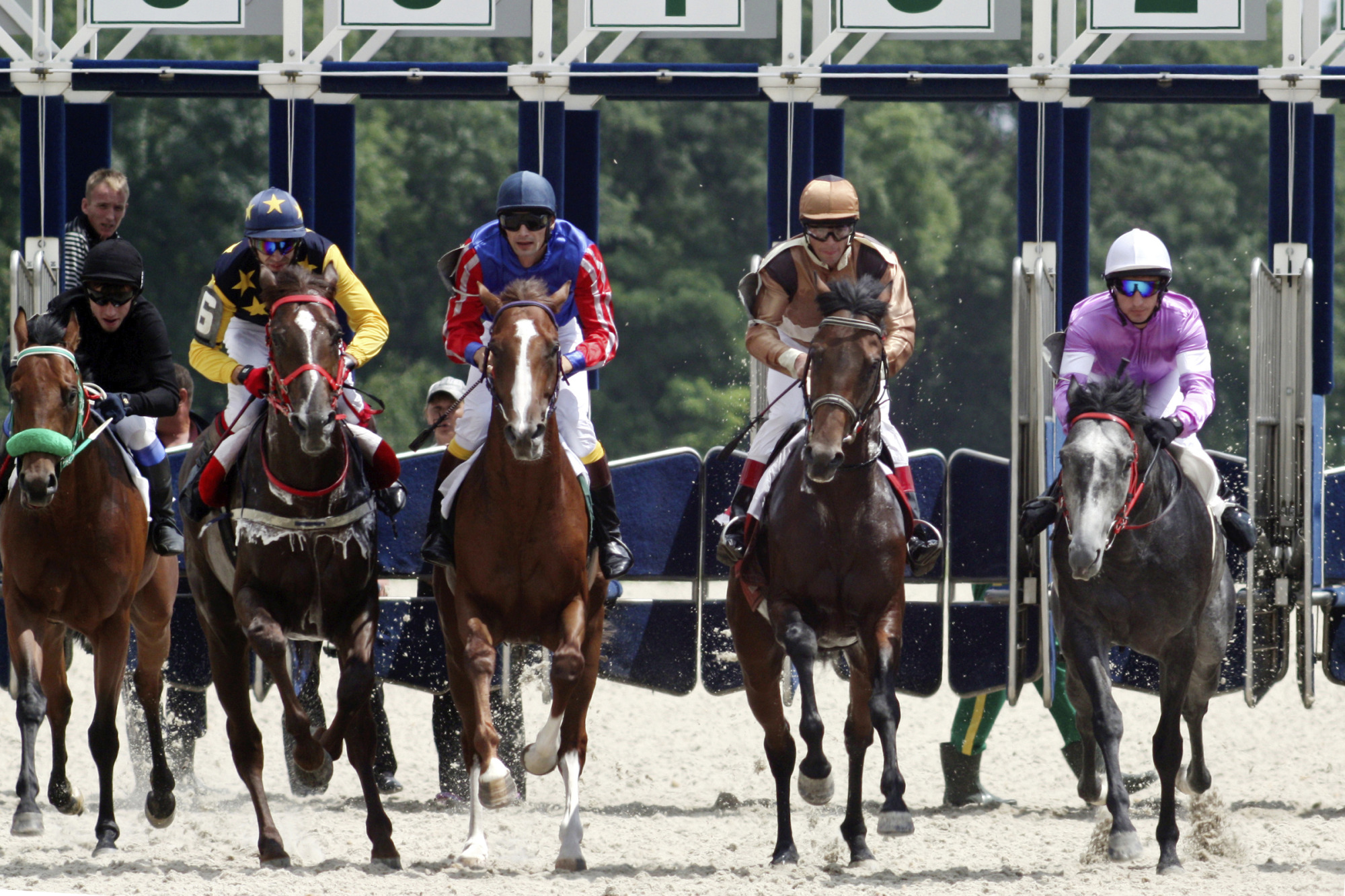 Horse Racing