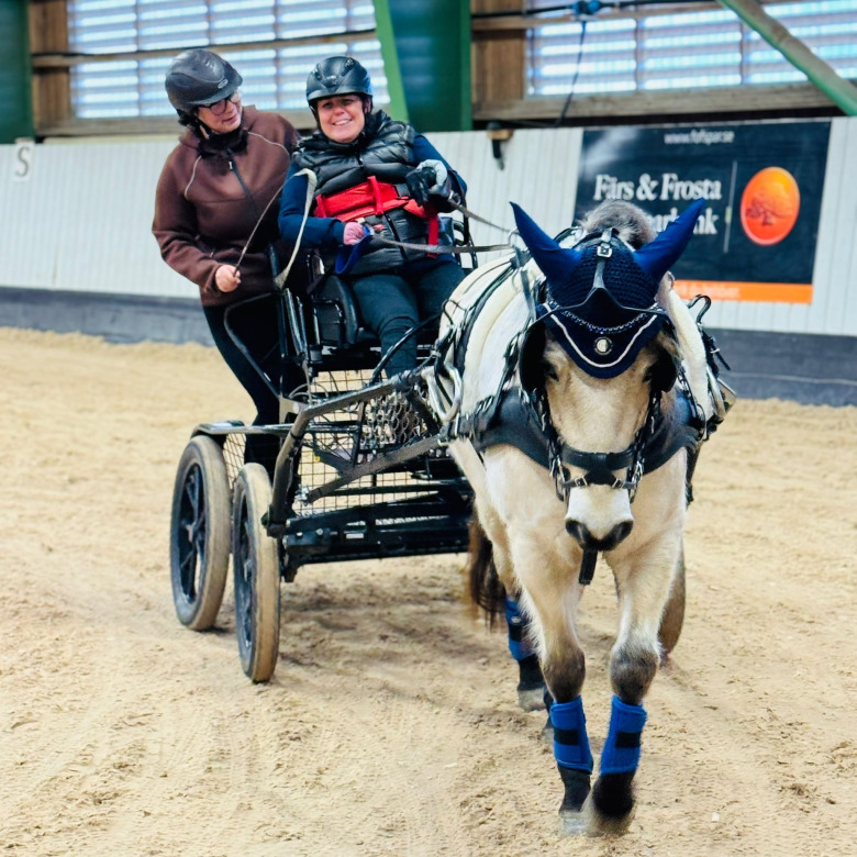 Ridsport Play: Parakusken laddar för mästerskap