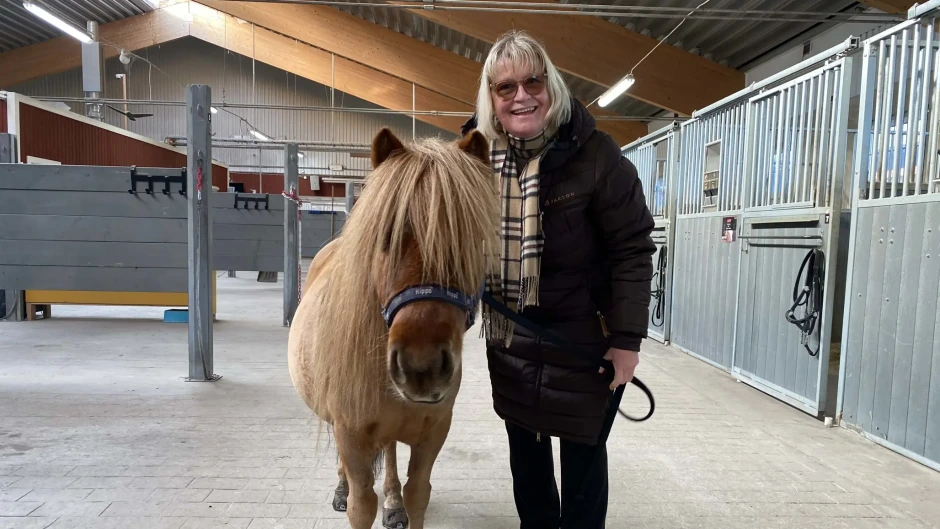 SLU ska forska på hästunderstödda insatser