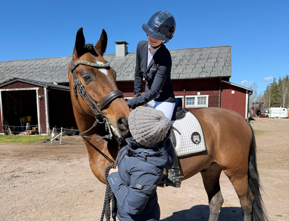 Noomis blogg: Tillbaka i verkligheten