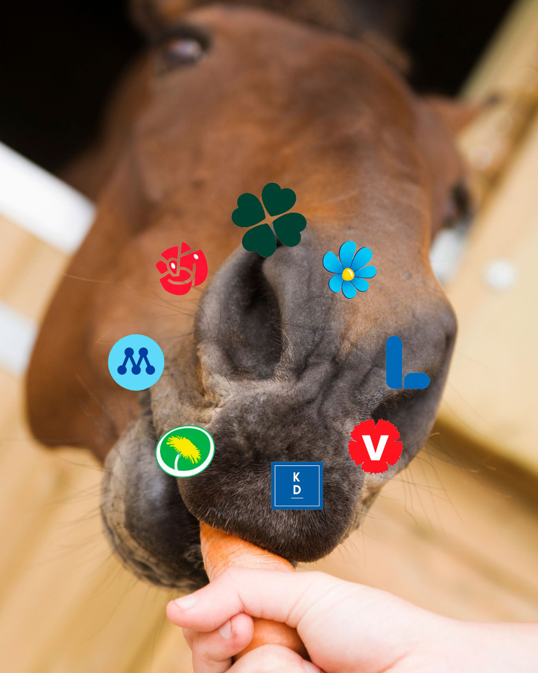 Så tänker Ridsportläsarna rösta i valet