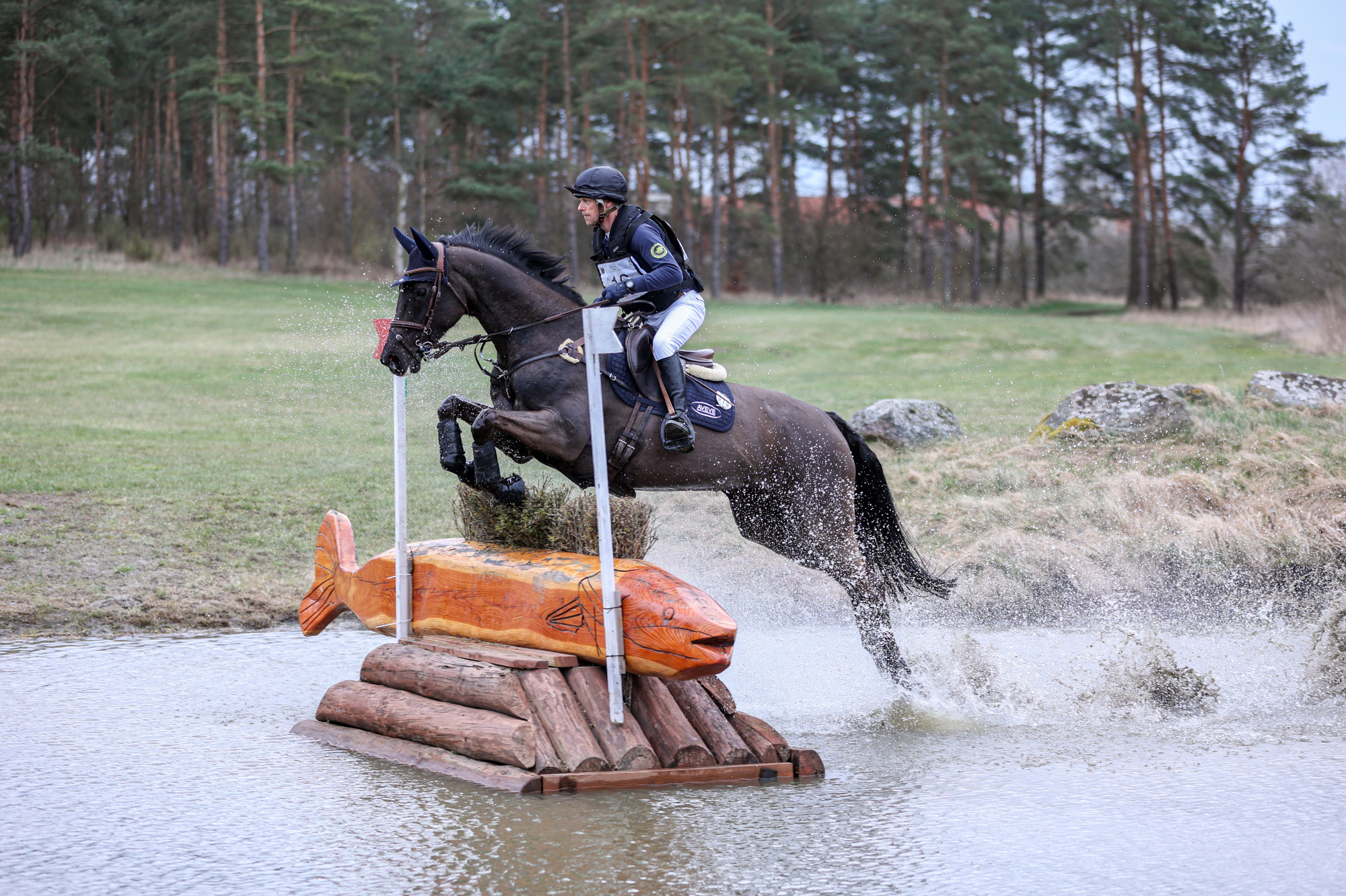 Peter T. Flarup - Candida Fj-6237 (1)