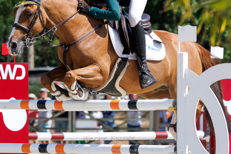 Har ridsporten blivit en rikemanssport?