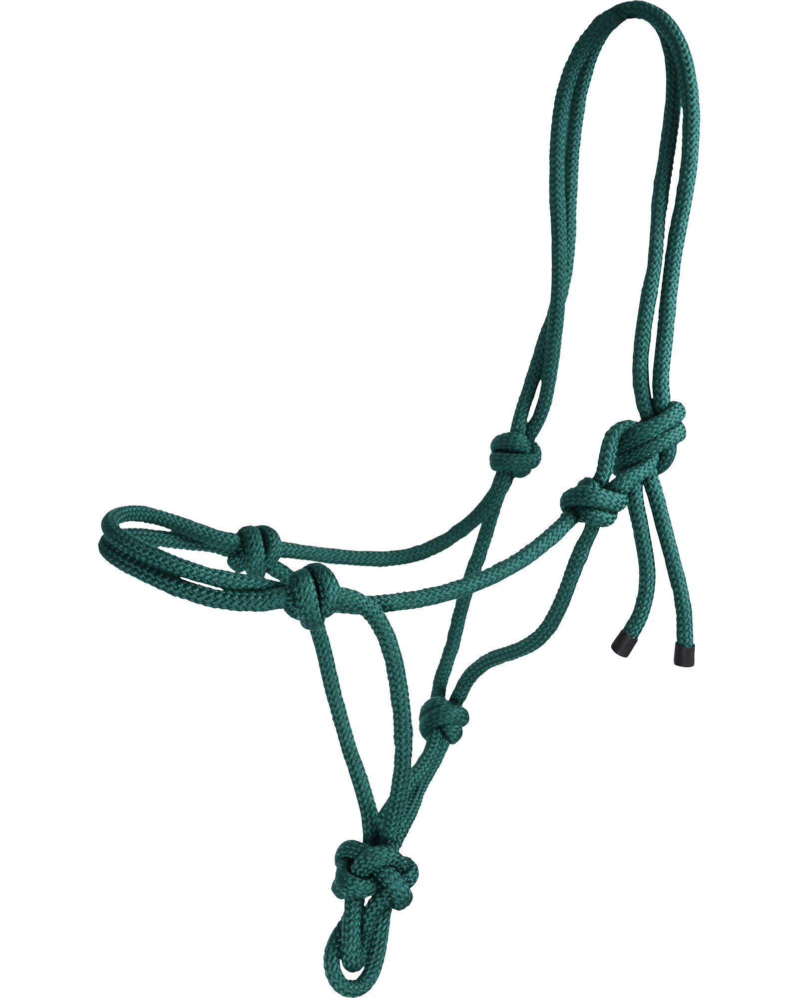 Repgrimma