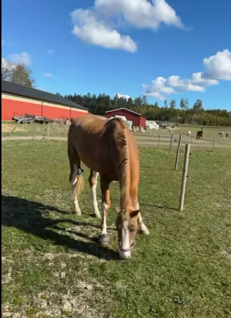 Screenshot 2026-04-28 At 13-32-09 (16) Facebook