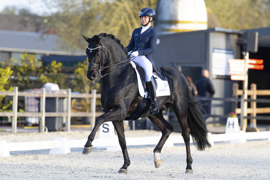 Succédebut i 4* med Therese Nilshagens nya stjärna: ”En känslig herre”