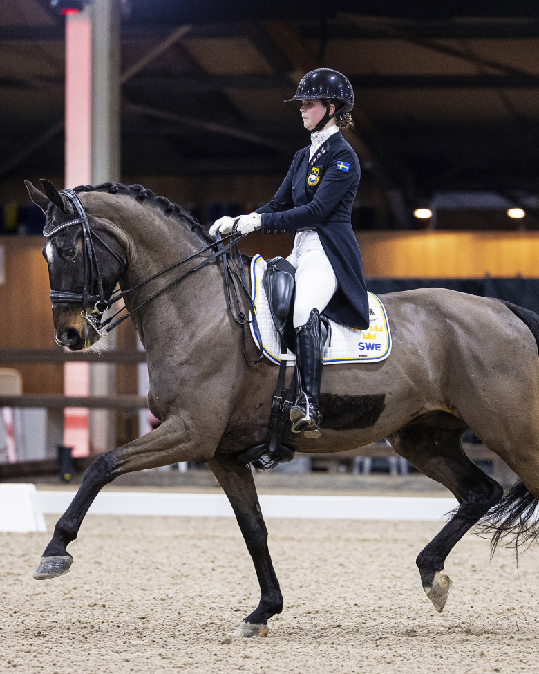 Fyra finaler avgjorda när DressagePower avslutades