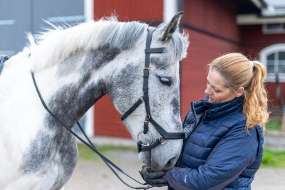Hästinfluensa på ridklubb: ”Gör allt för att stoppa spridning”