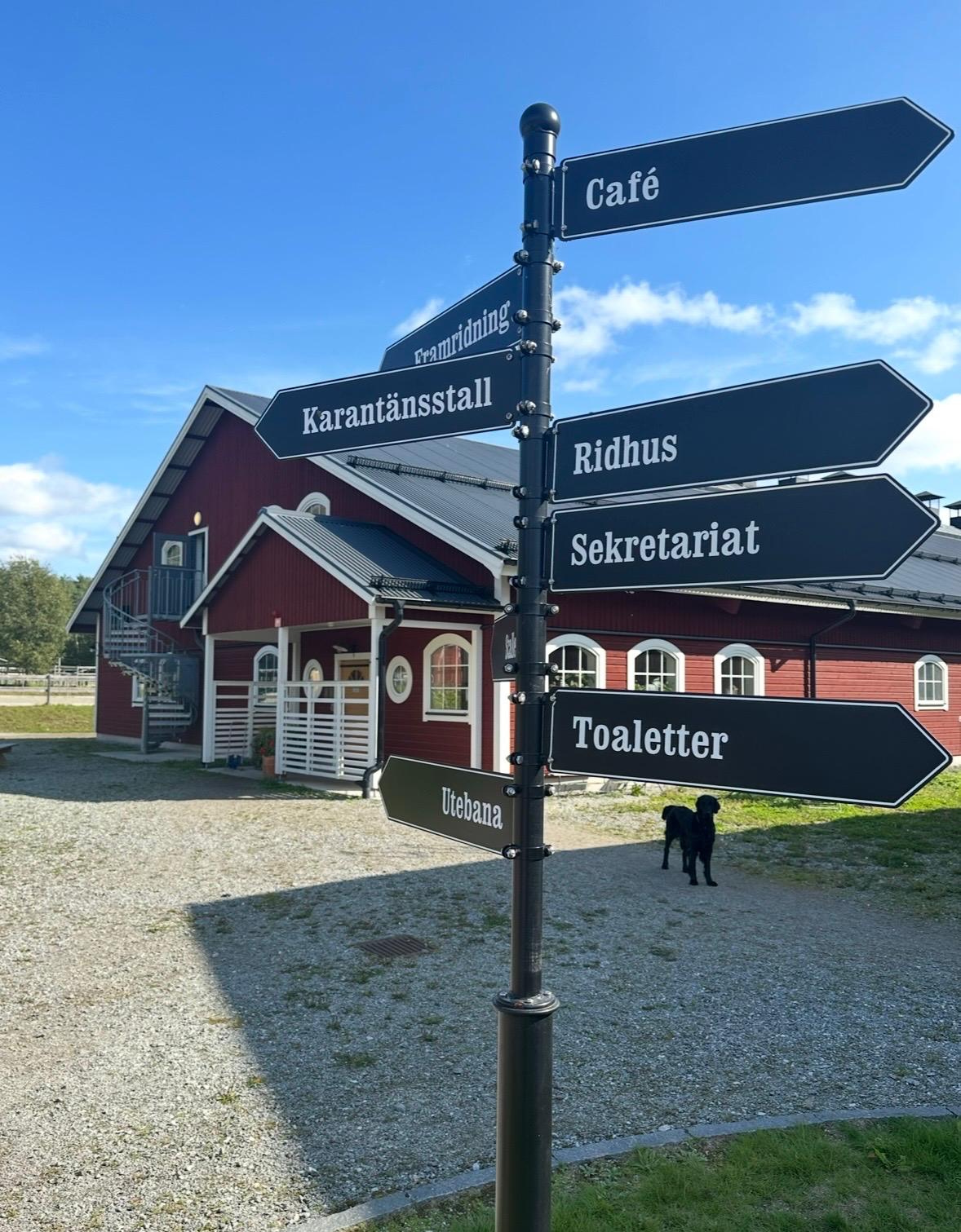 Whatsapp Image 2026-04-16 At 10.15.58