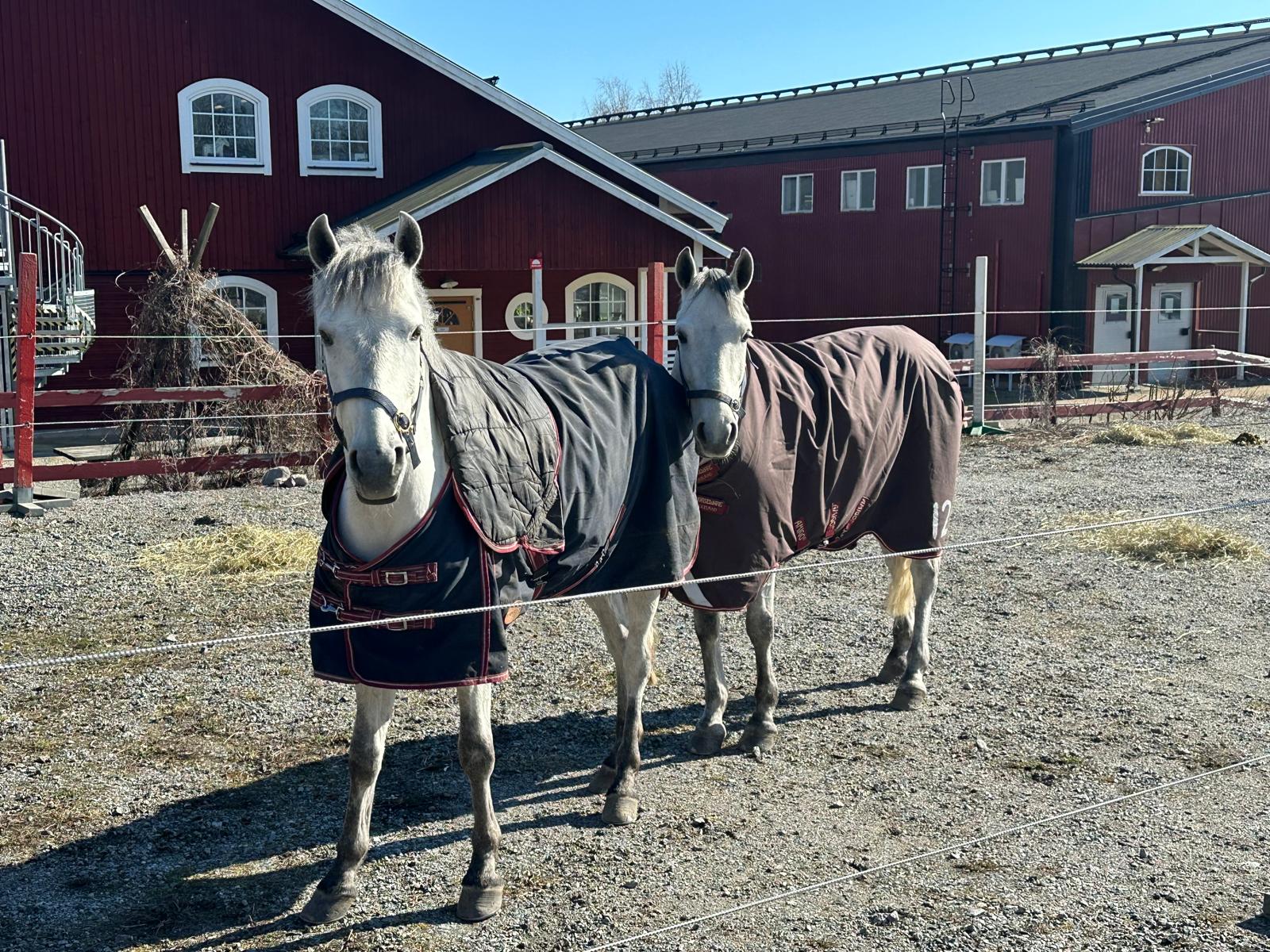 Whatsapp Image 2026-04-16 At 10.15.58 (1)