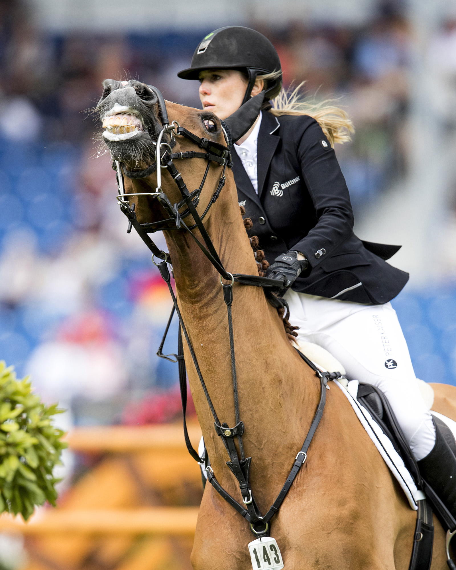 Hackamore Beteende Tänder