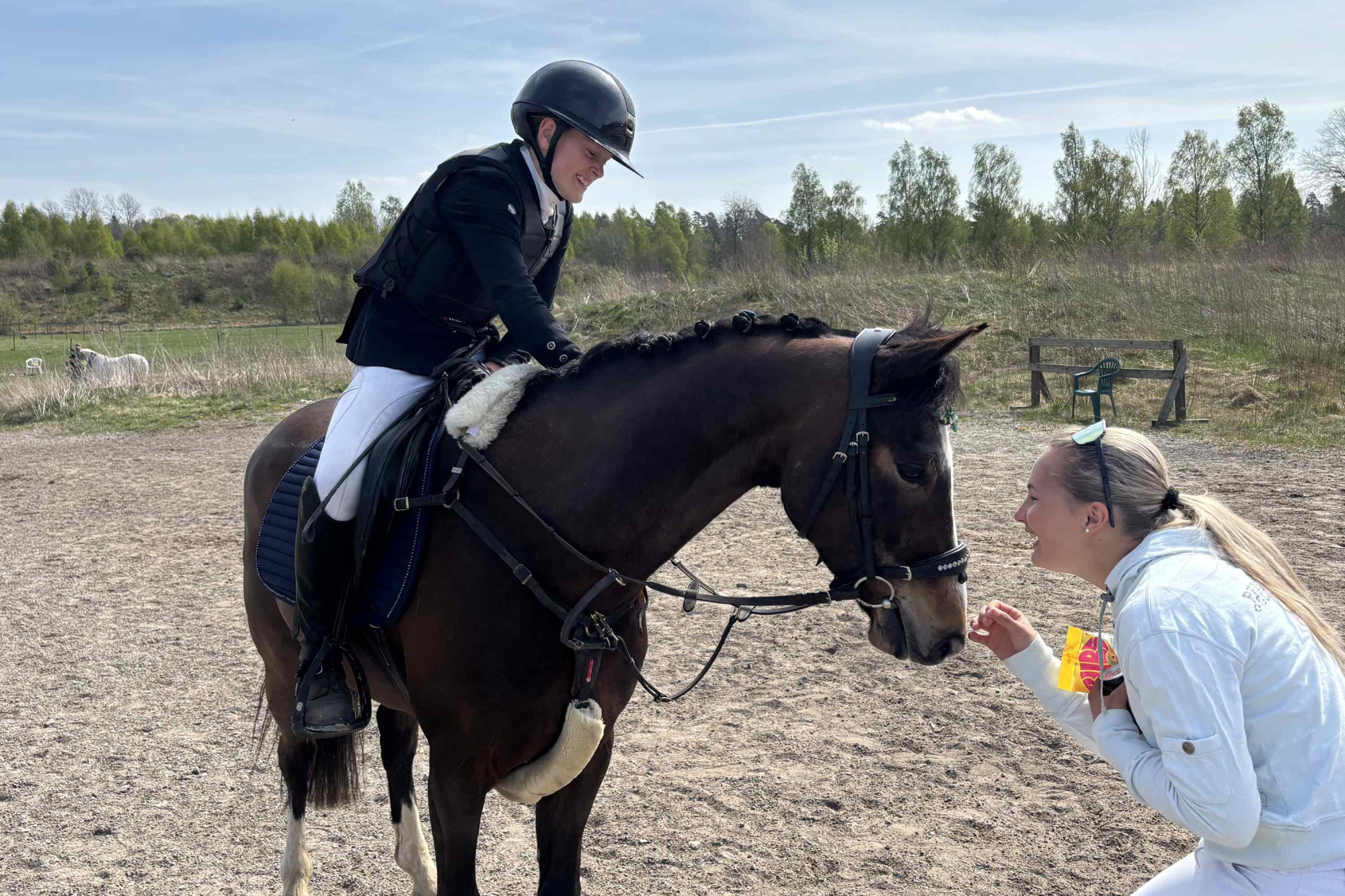 394 Lilly Och Sigge