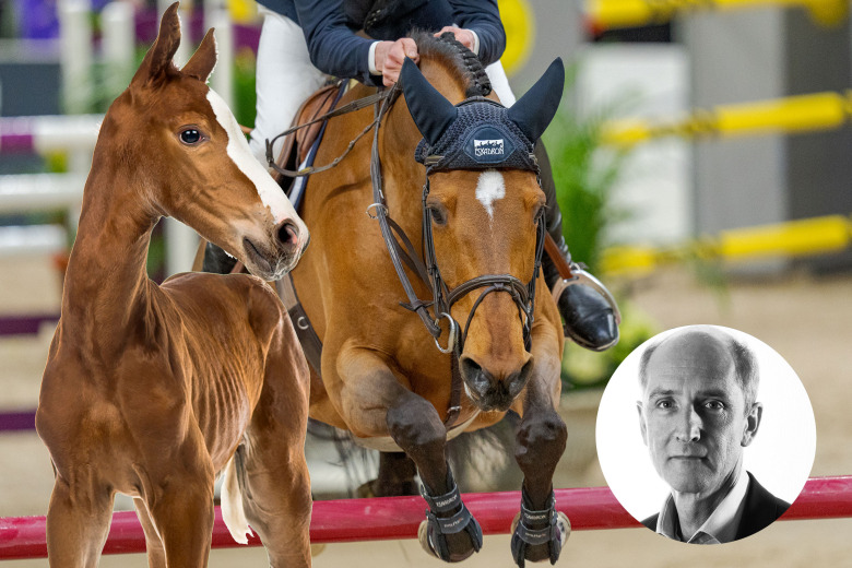 Ridsportens ekonomiska systemfel: uppfödarna bär risken