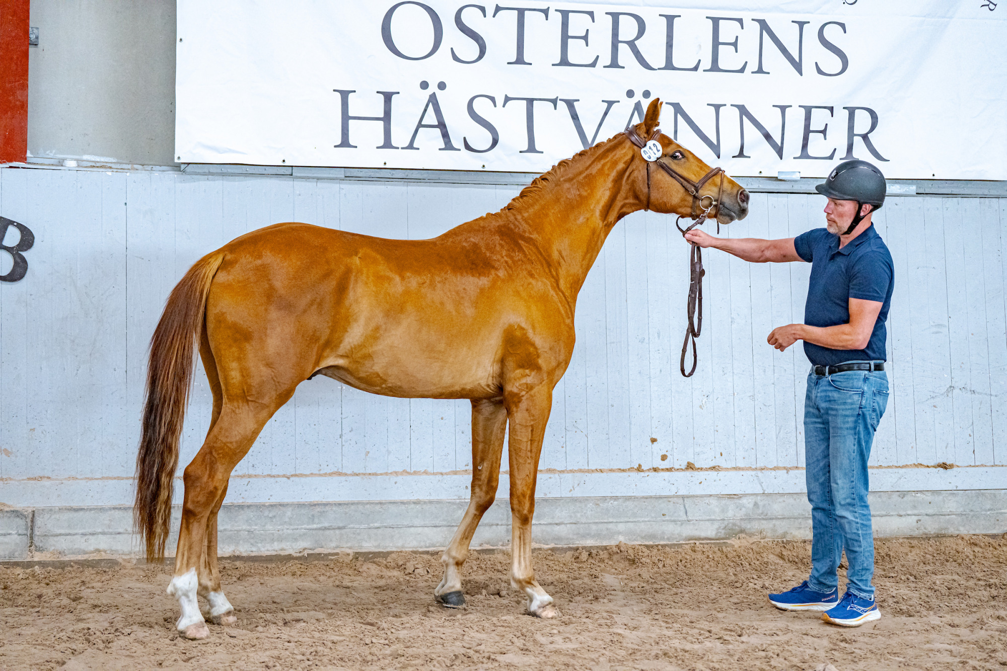 Mattias Delltorp Ventus Qre (swb)