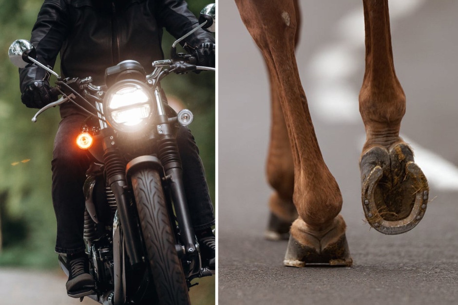 Häst blev skrämd av motorcykel – barn till sjukhus