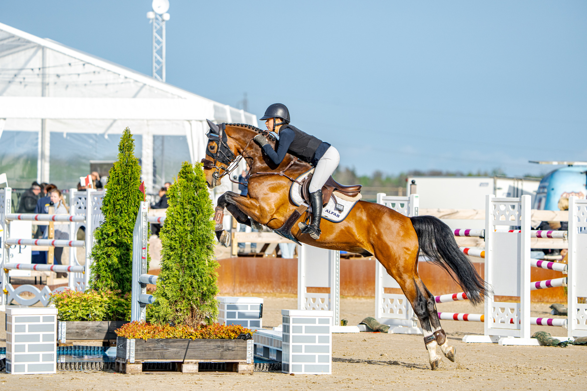Rebecca Falck Lagercrantz High Five Z