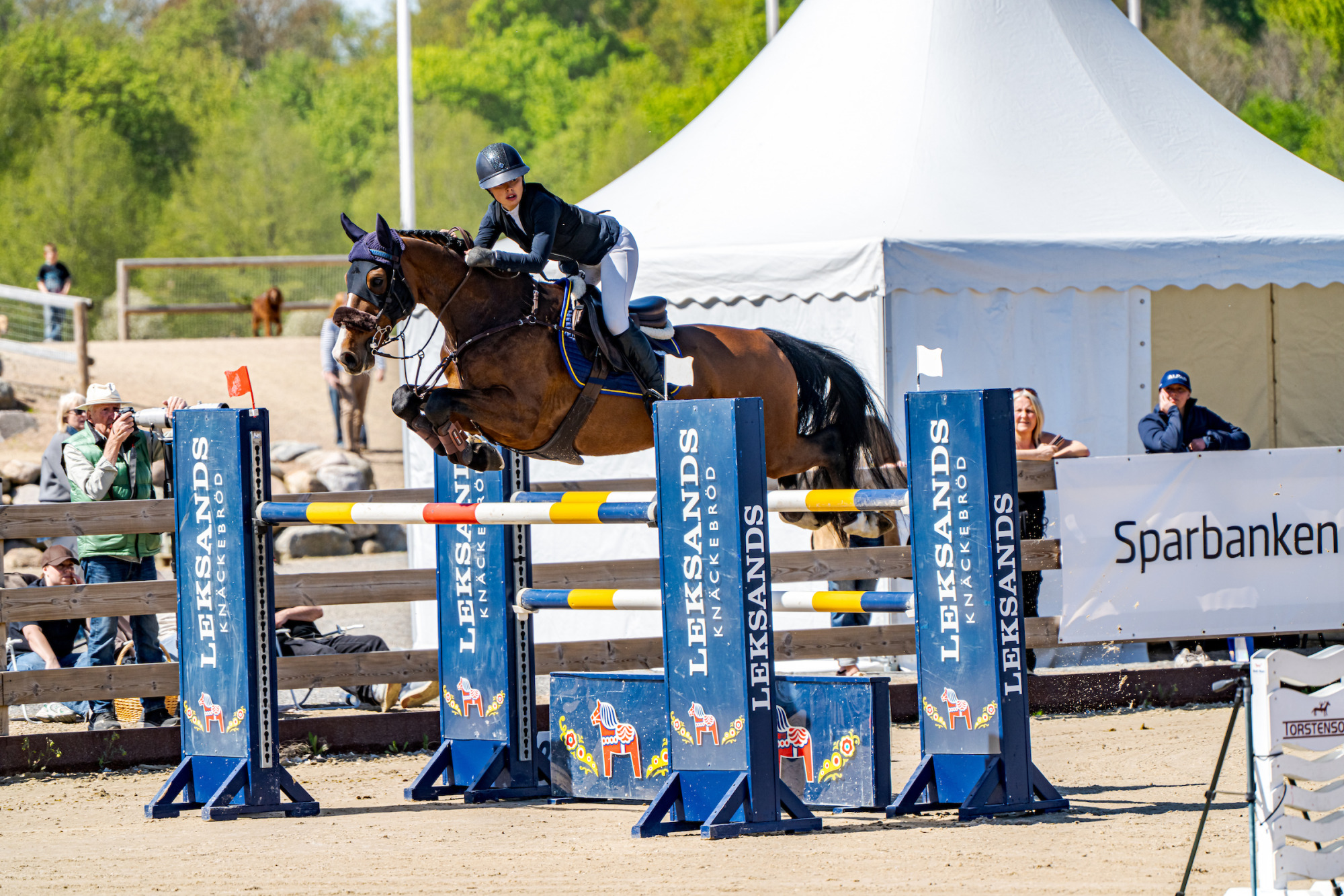 Rebecca Falck Lagercrantz High Five Z