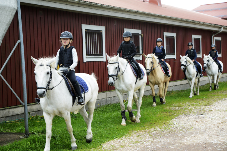 Nominera din favorit – Årets Ridskoleponny 2026