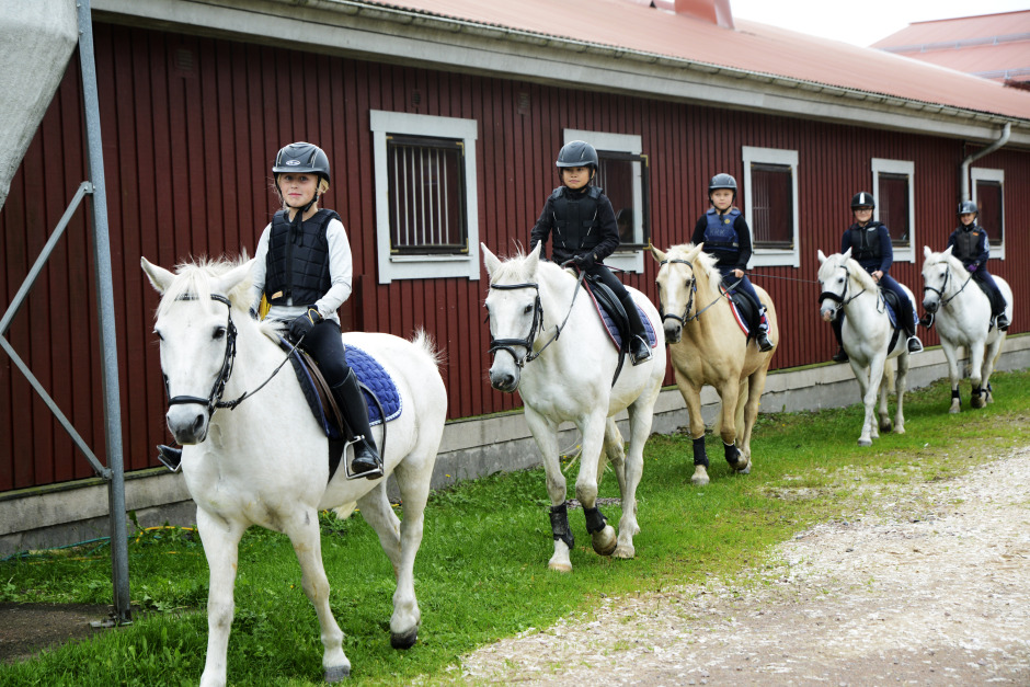 Nominera din favorit – Årets Ridskoleponny 2026