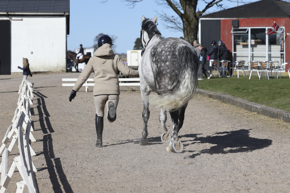 Dålig koll på rapporter från tävlingsveterinärer